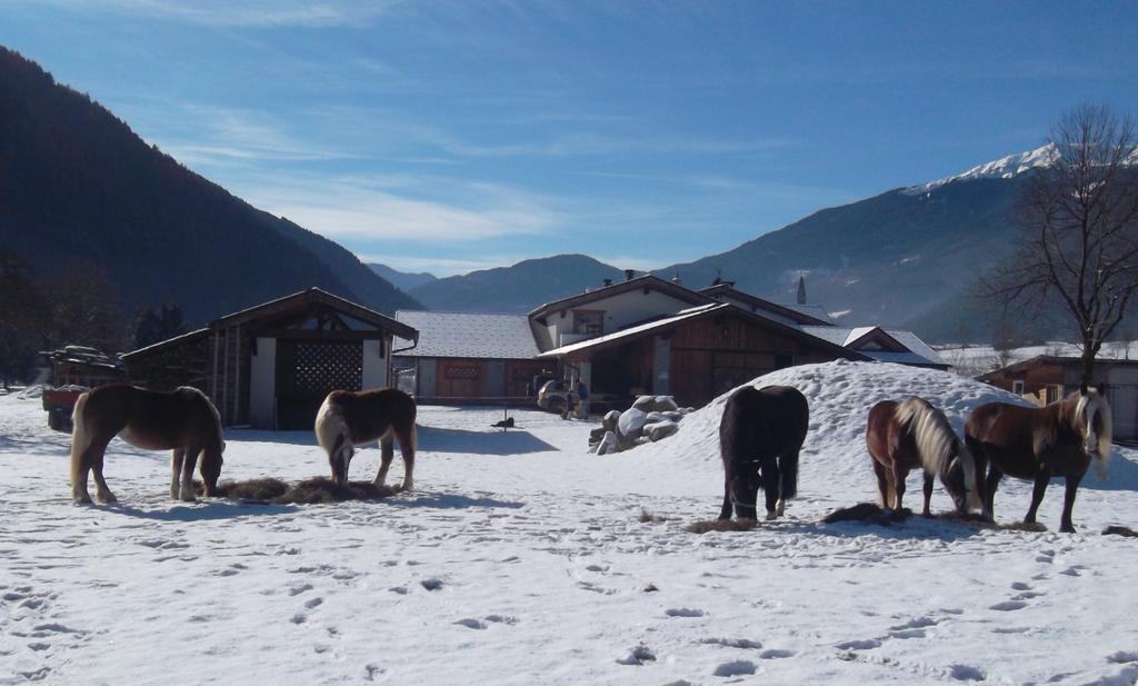 Agriturismo Maso Grisun Borzago Экстерьер фото