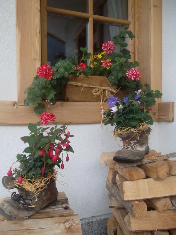 Agriturismo Maso Grisun Borzago Экстерьер фото