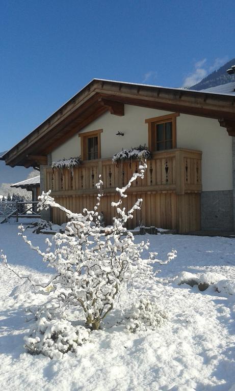 Agriturismo Maso Grisun Borzago Экстерьер фото