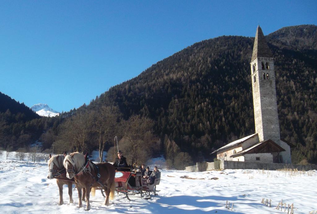 Agriturismo Maso Grisun Borzago Экстерьер фото