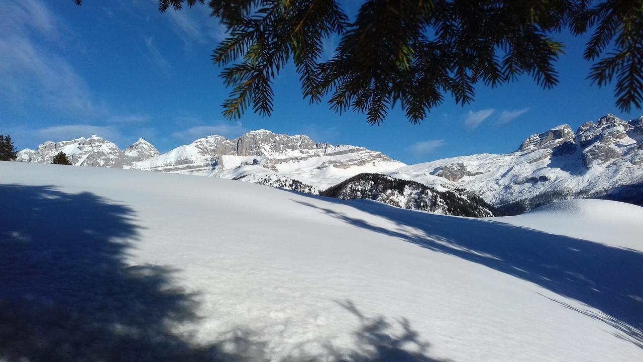 Agriturismo Maso Grisun Borzago Экстерьер фото