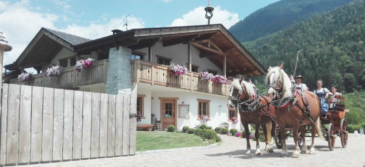 Agriturismo Maso Grisun Borzago Экстерьер фото