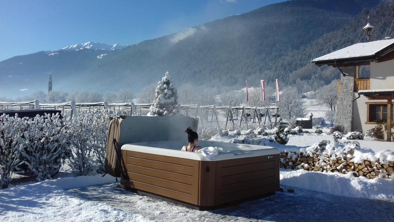 Agriturismo Maso Grisun Borzago Экстерьер фото